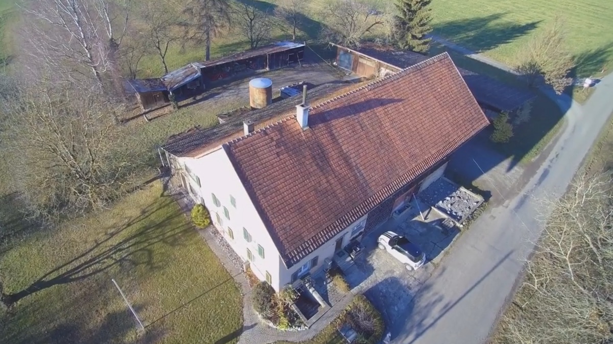 image Rossbuck aus 20m Höhe
