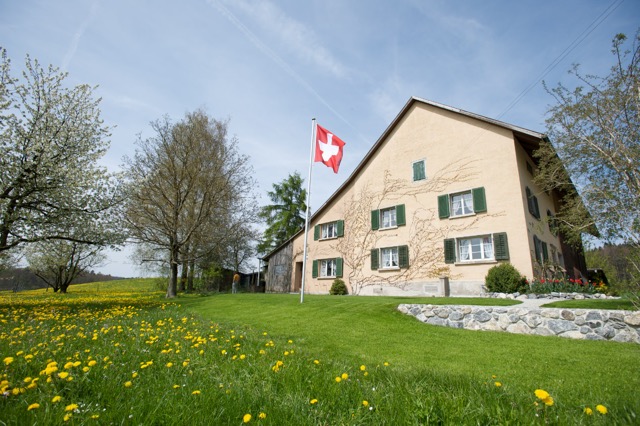 Fr&uuml;hling