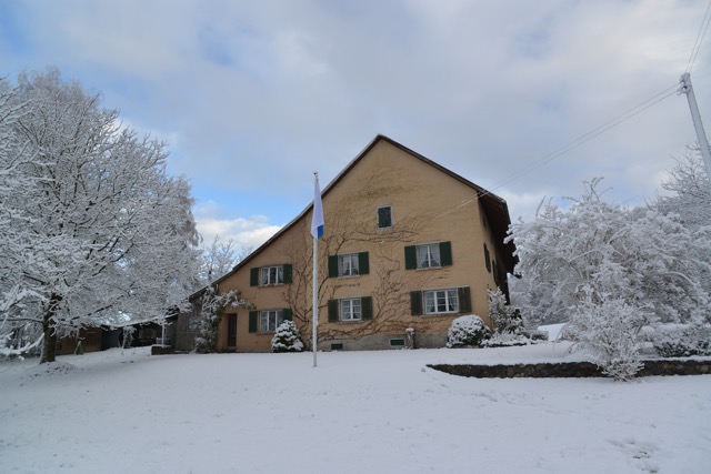 Winter